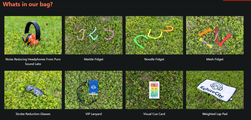 The image is a collage of objects in their sensory bag, against a black background, and is titled “Whats in our bag?”, on the top left corner of the image. It has 8 images of the objects in the bag, and their names below them, centre aligned. It contains a “Noise-Reducing Headphones From Puro Sound Labs”, a “Marble Fidget”, a “Noodle Fidget”, a “Mesh Fidget”, a pair of “Storbe Reduction Glasses”, a “VIP Lanyard”, a “Visual Cue Card” and a “Weighted Lap Pad”.