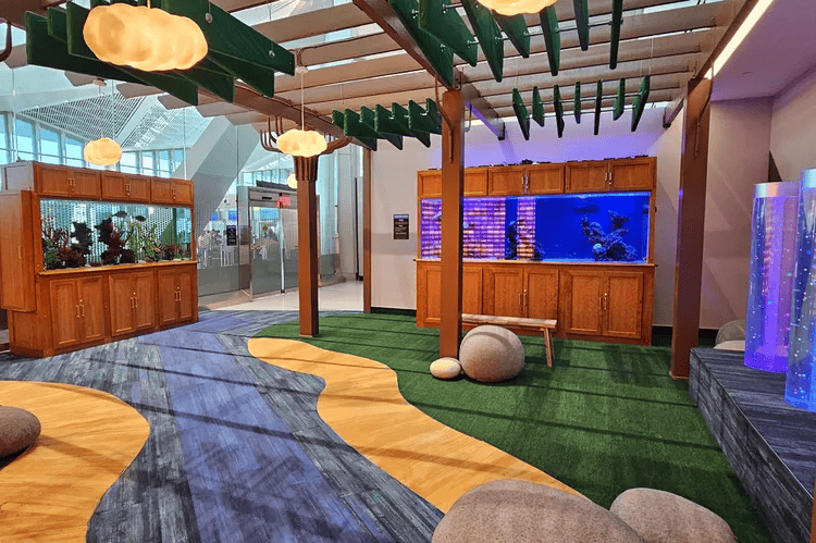 A sensory room in Newark Airport features faux-grass flooring resembling flowing water, with raised wooden islands. A large aquarium sits in a light-brown cabinet. Bubble tubes filled with bubbling blue liquid are present. Overhead, a pergola provides shade, and soft cloud-like fixtures illuminate the bright space.